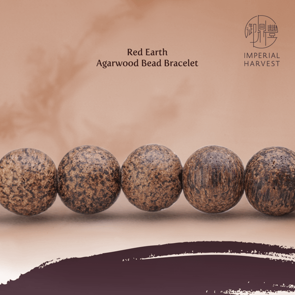 Blog_2021_Oct_IH collections during GY’s birthday-9