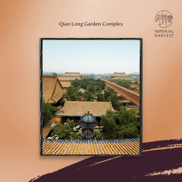 Blog_2021_Sep_Untold Story of the Qian Long Jadeite Mountains-2-1