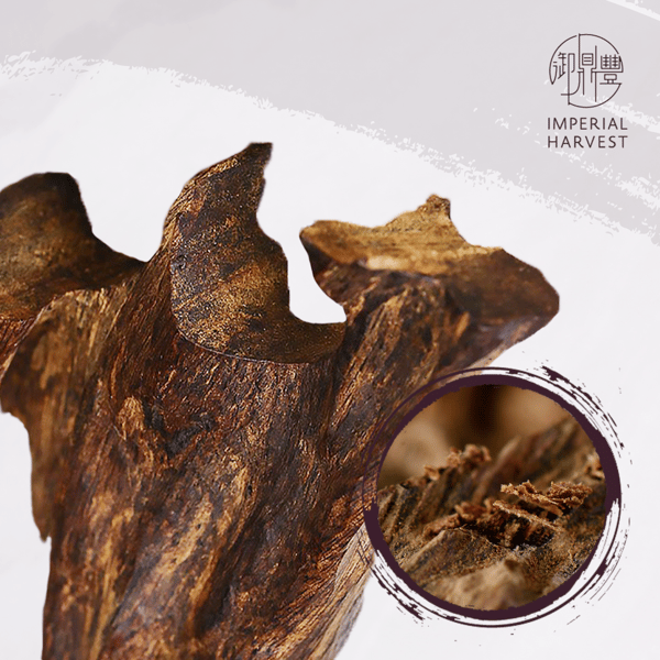 Blog_2022_Complete Guide_Purple Qinan-3