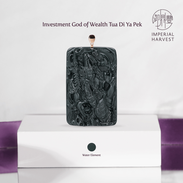 Blog_2022_Investment God of Wealth_Tua Di Ya Pek-3