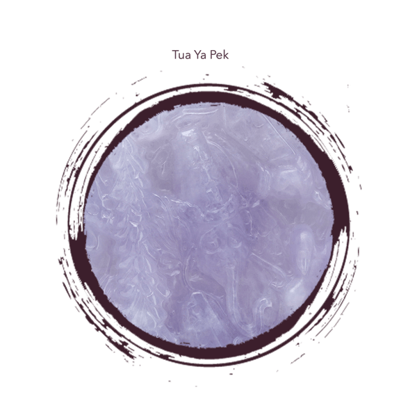 Blog_2022_Investment God of Wealth_Tua Di Ya Pek-8