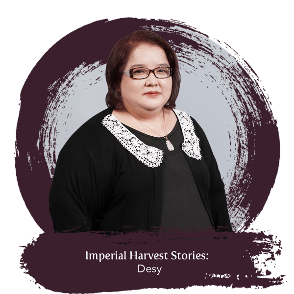 Blog_210325_IH Stories Desy_Desy