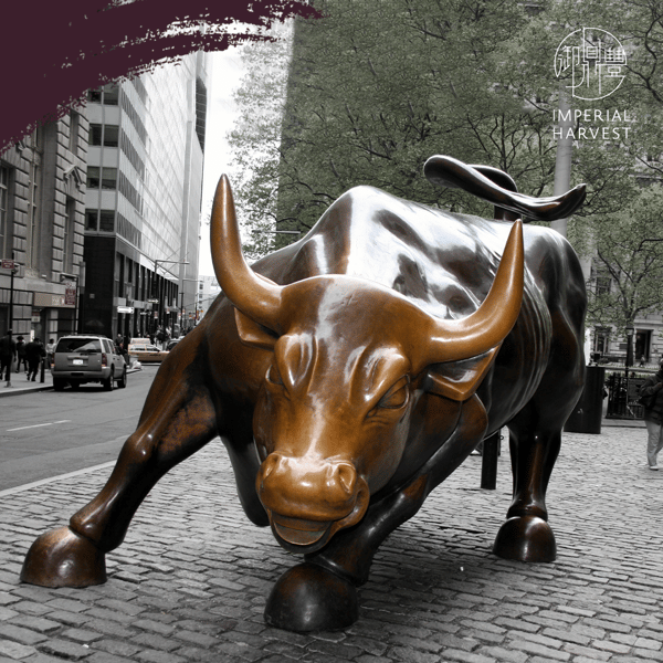 Summer Crystals_Wall Street Bull