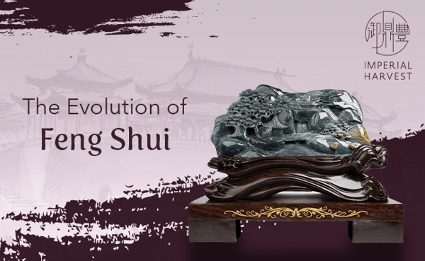 Blog_290621_Evo of FS_Email Banner