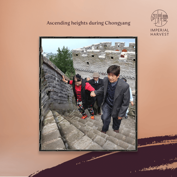 Blog_290921_Imperial Rites CY_heights