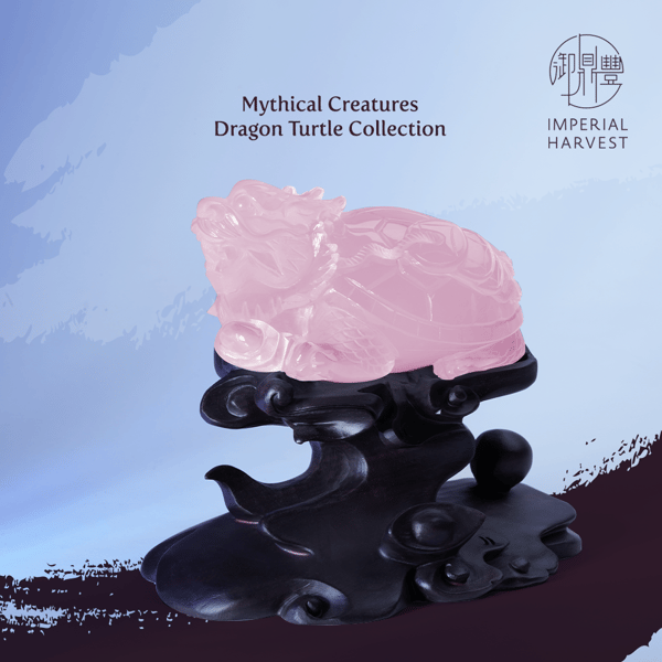 Blog_291021_Li Dong in Imperial FS_Dragon Turtle