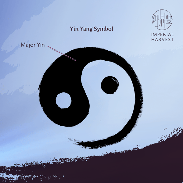 Blog_291021_Li Dong in Imperial FS_Major Yin