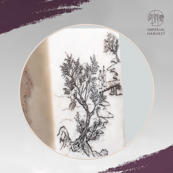 Bridging Connection Ref: 8629