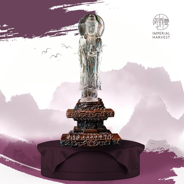 Classical FS Cure-updated-GY2