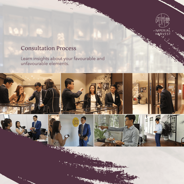 Consultation_Process_blog_jun2020