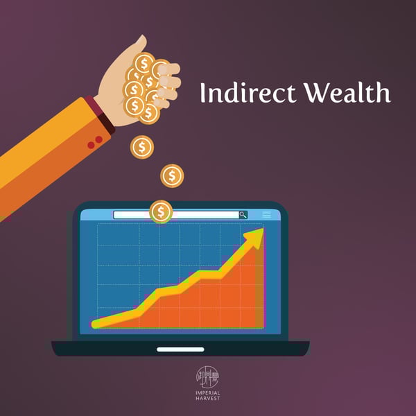 indirect wealth