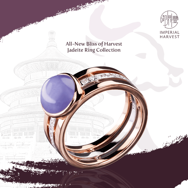 All-New Bliss of Harvest Jadeite Ring