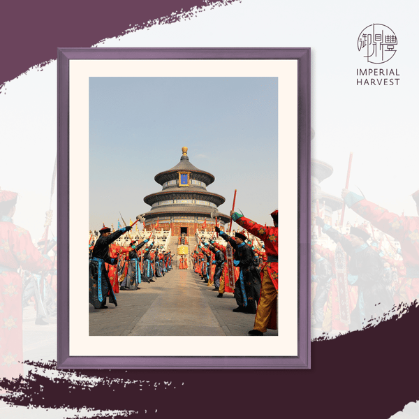 Temple of Heaven ceremony