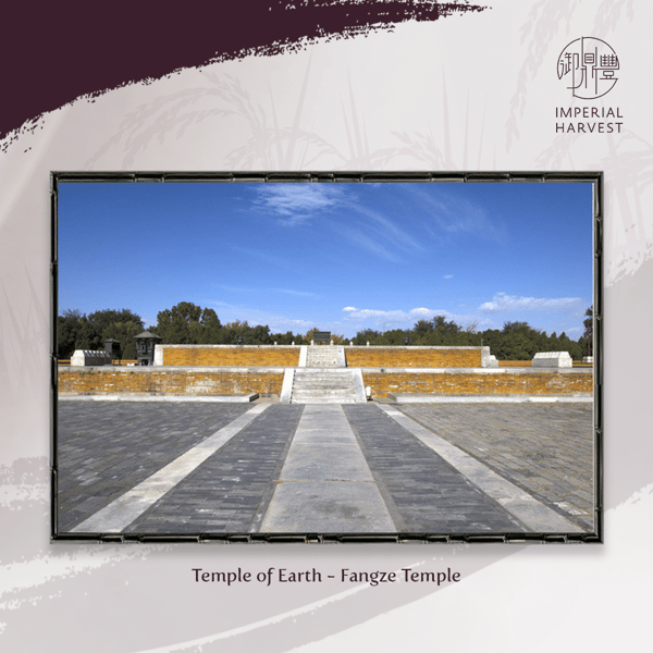 Fangze Temple_Summer Solstice