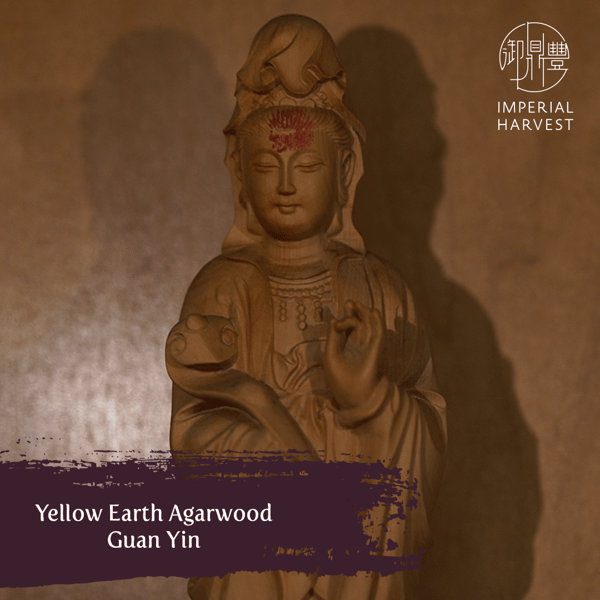 IH Stories BenYS_201202_GuanYin