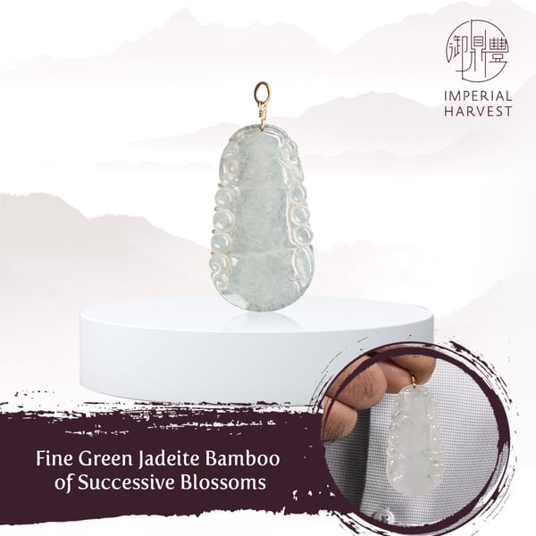 IH Stories_Charles_Green Jadeite Bamboos