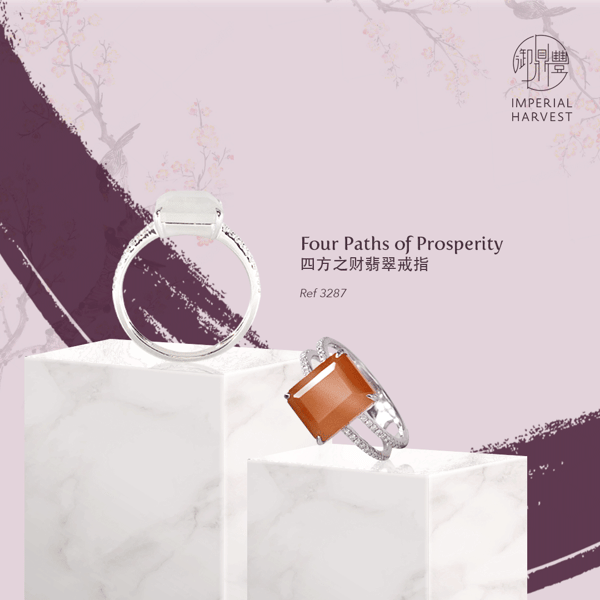 IH-CUT-blog-fourpaths-3287