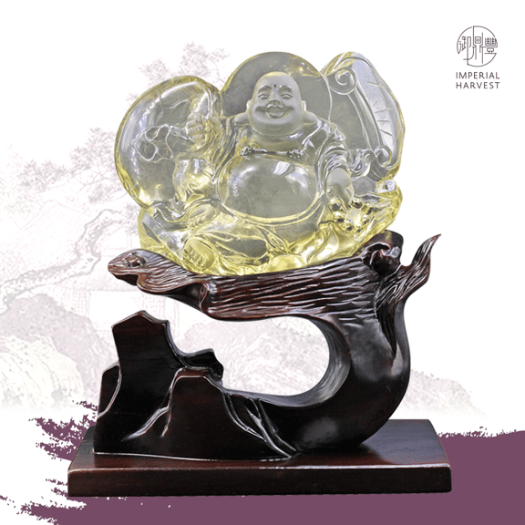 LB 10062020 Ling Zhi