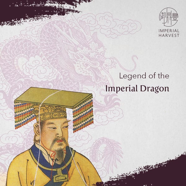 Legend of-imperial-dragon-pendant-blog