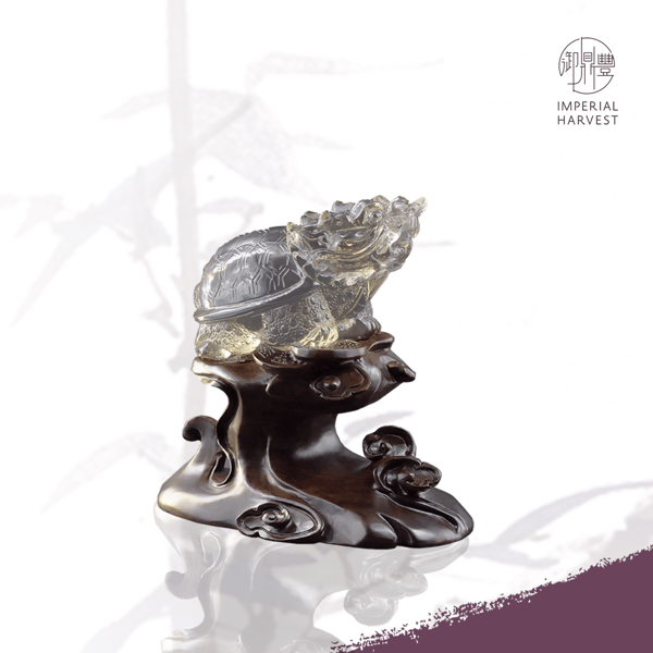 MC-Dragon Turtle- 8249