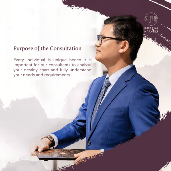 Purpose_of_the_consultation_blog