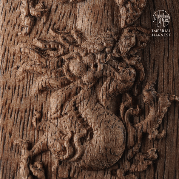 The Complete Guide to Imperial Harvest White Qinan Agarwood-2