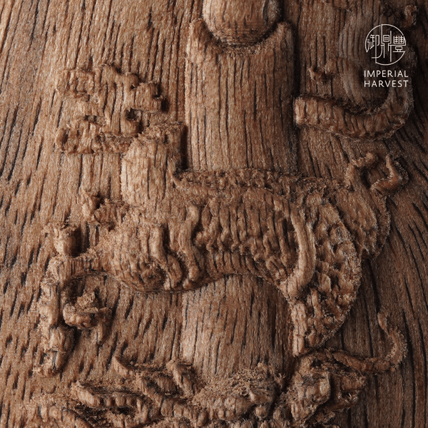 The Complete Guide to Imperial Harvest White Qinan Agarwood-3