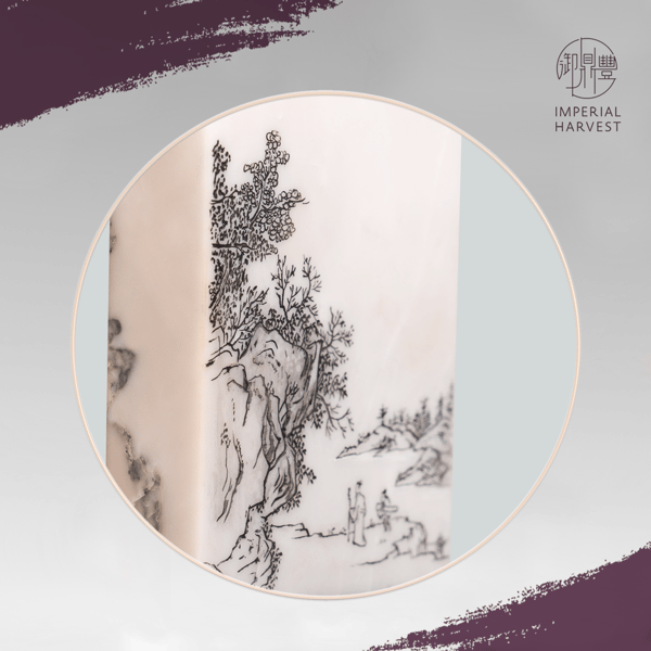 Visiting Friends with Yang Qin Ref: 8409