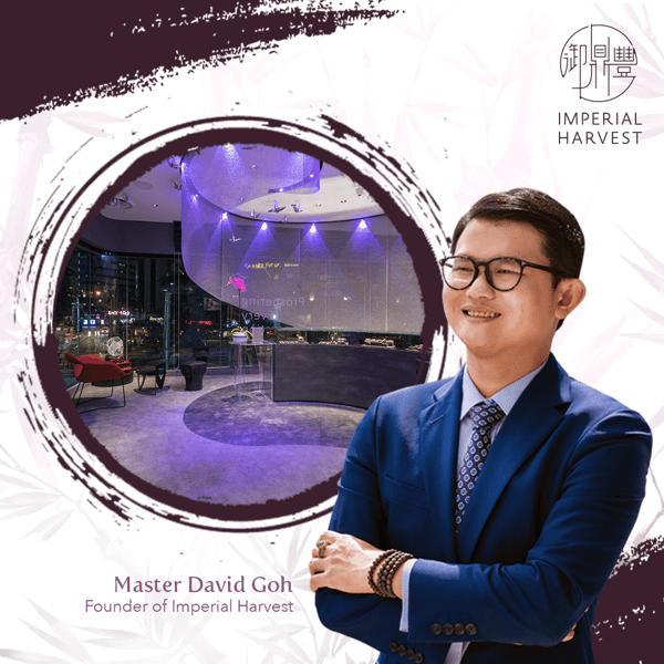 About Master David Goh