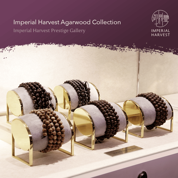 blog_160221_IHP Agarwood