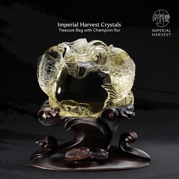 blog_200821_indirect wealth_Treasure bag 2-1