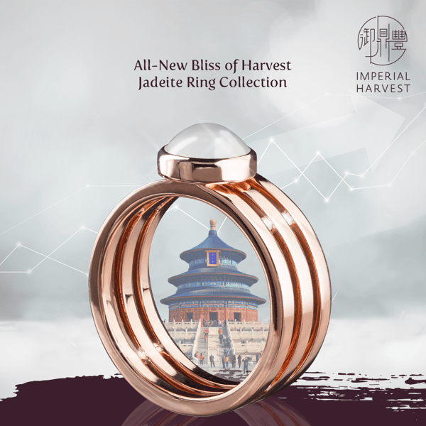 blog_210114_Investment_BOH