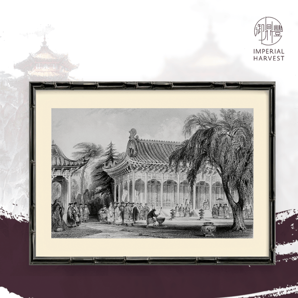 blog_230321_summer palace