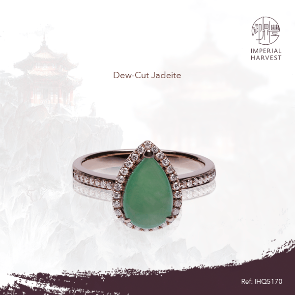 blog_240321_dew cut new