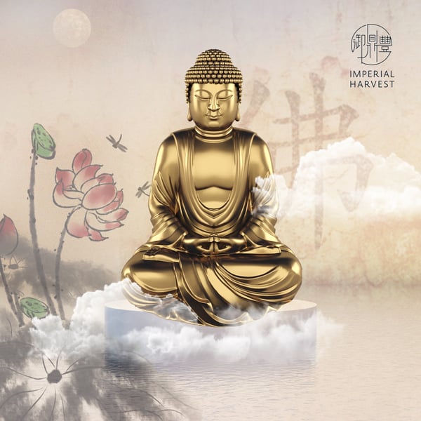 Buddha (“The Enlightened One”)