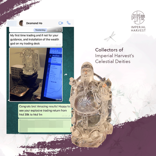 celestial-blog-csy-testimonial