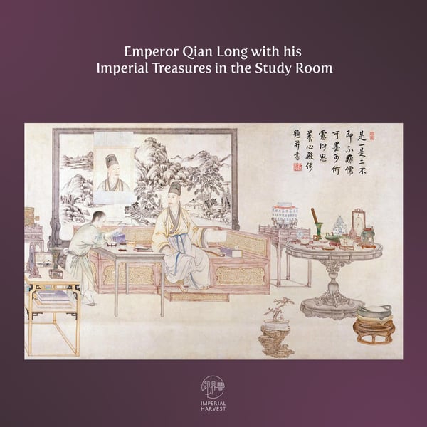 emperor_ql_room_blog