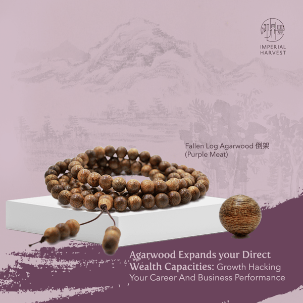 fallen_log_agarwood_purple_decoding_5