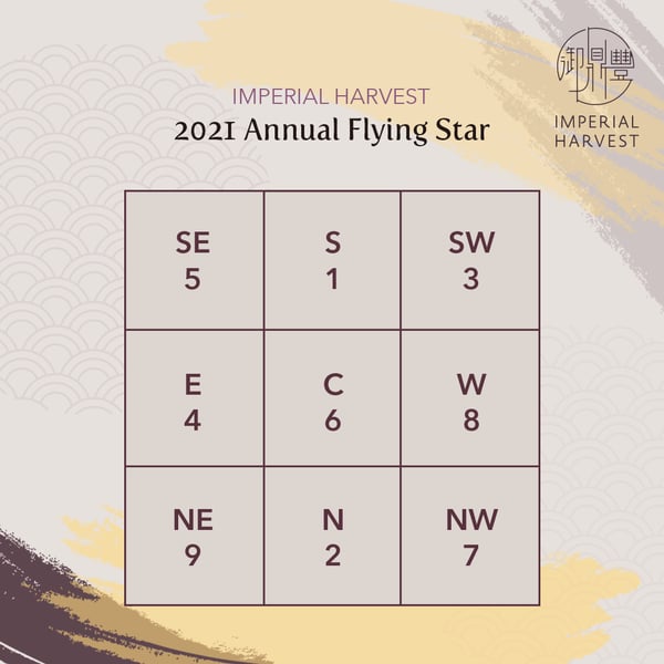 2021 Annual Flying Stars