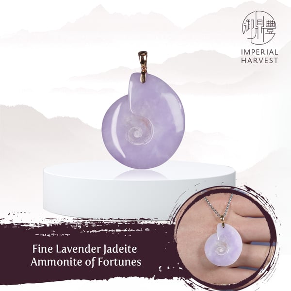 Fine Lavender Jadeite Ammonite of Fortunes