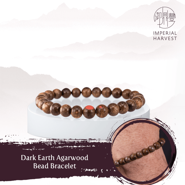 ihstories-28oct-dark earth