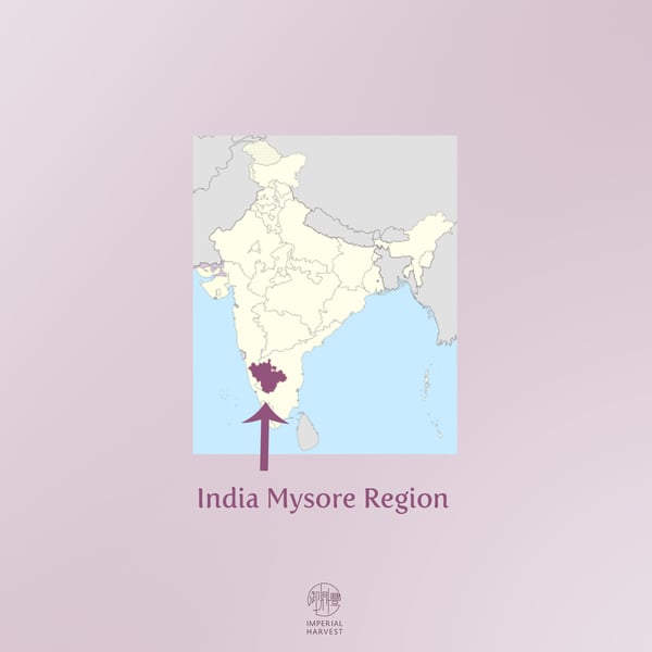 india mysore region