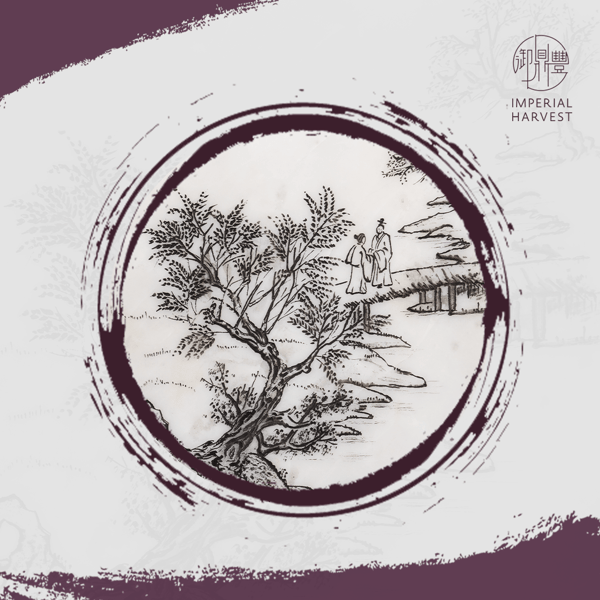 iwis_bridgingconnection_upclose_new