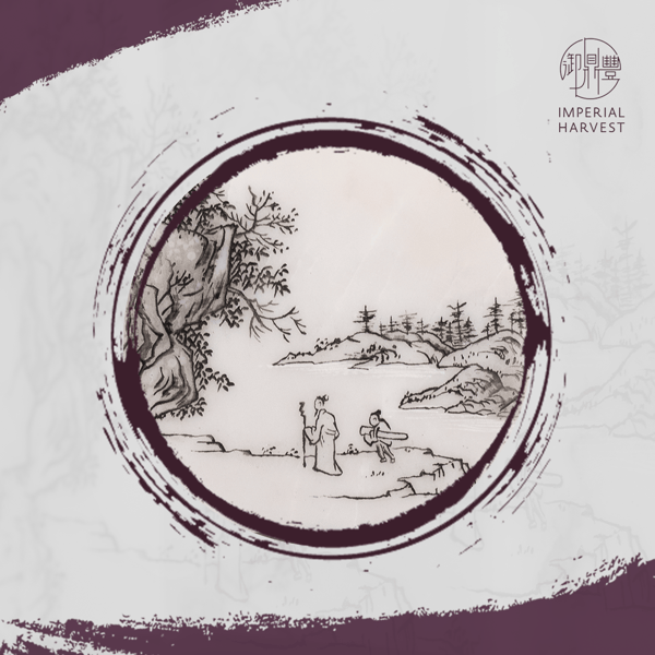 iwis_visitingyaqin_closeup