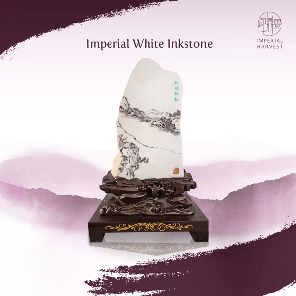 missing_sector_whiteinkstone