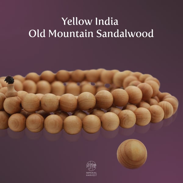 yellow_india old_sandalwood_18