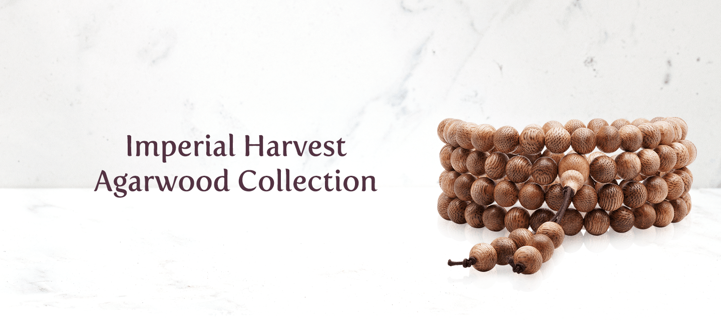 IH Website Banner_Personal Collection_Agarwood_1440 x 641_new IH Website Banner_Personal Collection_Agarwood_1440 x 641_new