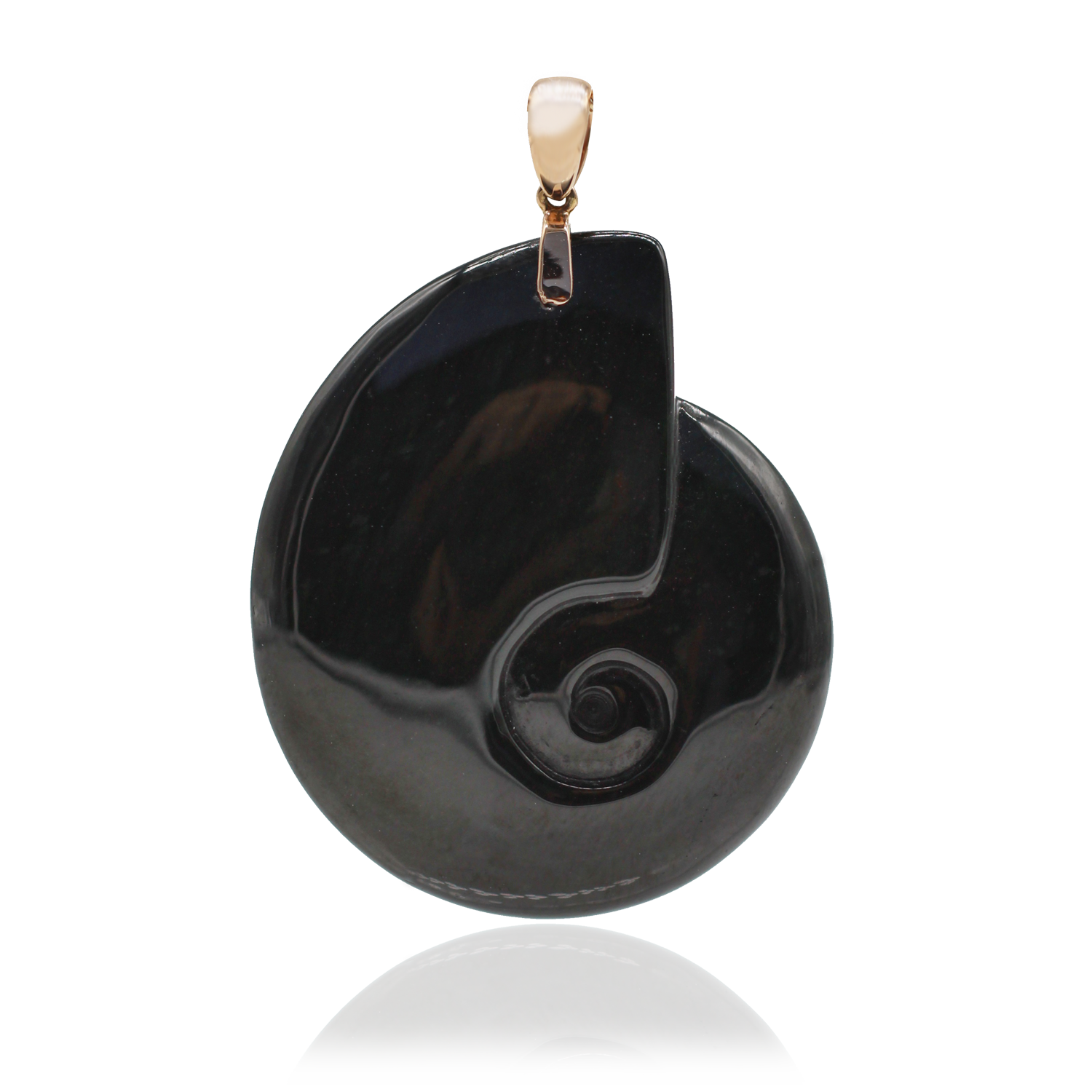 Ammonite-Black-w-Reflection-SQ