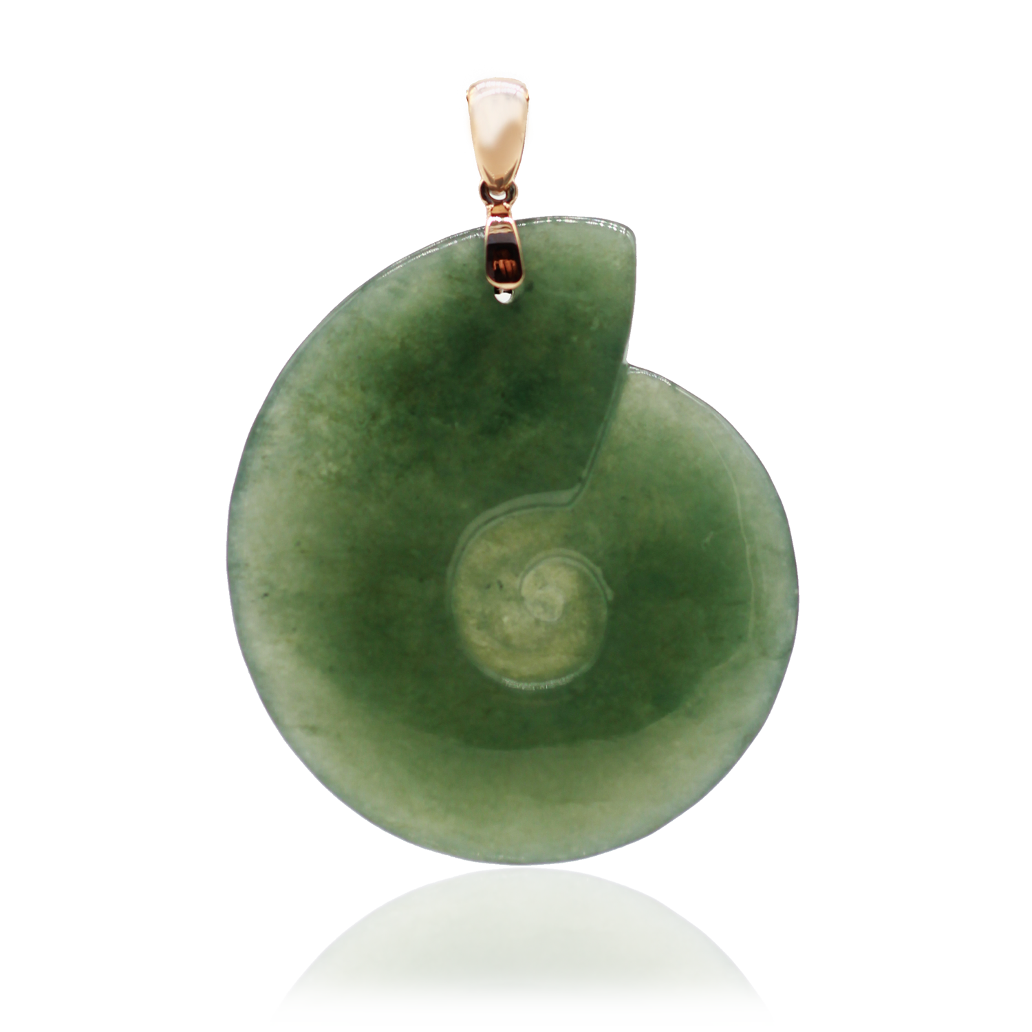 Ammonite-Green-w-Reflection-SQ