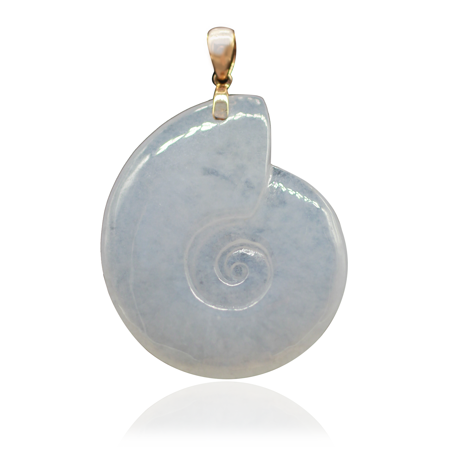 Ammonite-White-w-Reflection-SQ